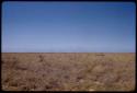 Landscape, blue sky and grass and two fires in the distance