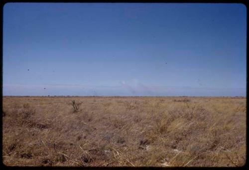 Landscape, blue sky and grass and two fires in the distance