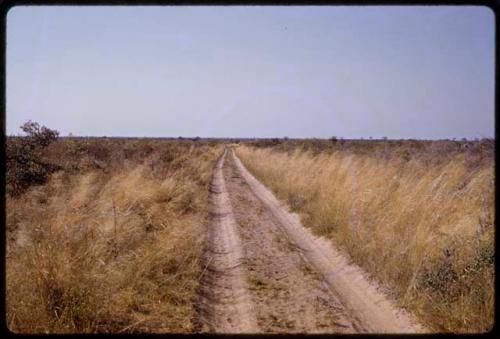 Road, tracks in grass