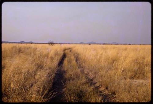 Road, tracks in grass and hills in the distance