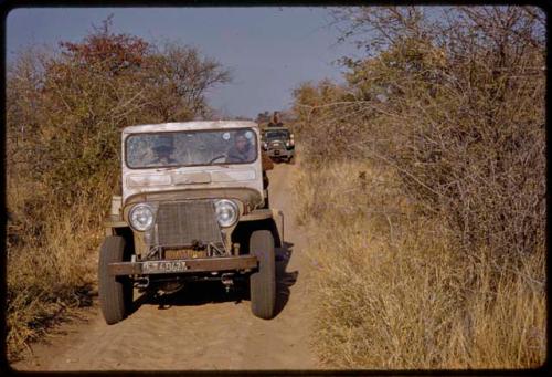 Expedition trucks on a road, seen from the front