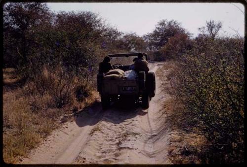 Expedition Jeep in road