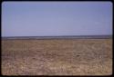 Lake Ngami, in the distance