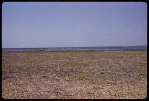 Lake Ngami, in the distance