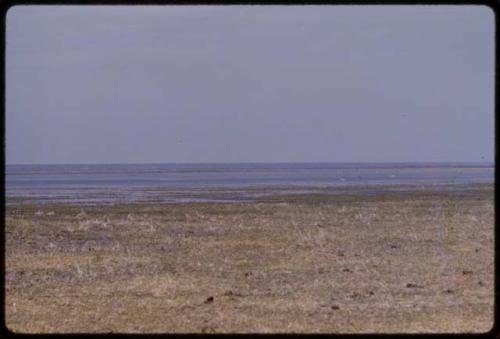 Lake Ngami, in the distance