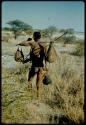 Carrying: /Ti!kay carrying bags of nuts on a carrying stick and an Ovambo pot, showing knife, bow and quiver not in a hunting bag