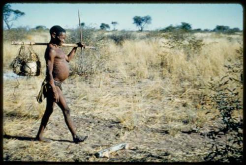 Carrying: Gao (father of Sa//gai) visiting Gautscha, carrying at least one ostrich eggshell in a carrying net hanging on a stick over his shoulder