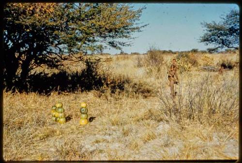 Ceremony, Archery: Boys shooting arrows at stacks of melons