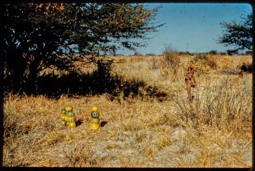 Ceremony, Archery: Boys shooting arrows at stacks of melons