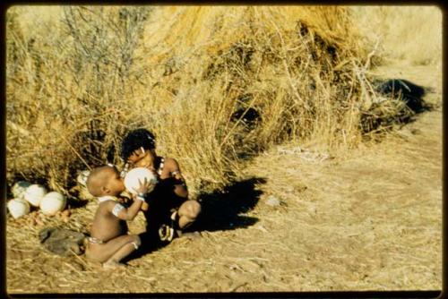 Children, Eating: N!ai giving a drink of water from an ostrich eggshell to /Gaishay, her half-brother