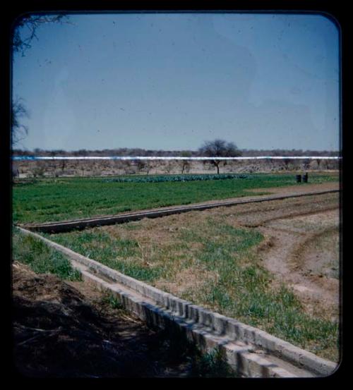 Vegetable garden