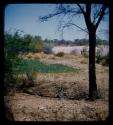 Vegetable garden