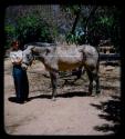 Brian Ensilin's sister standing next to a mule