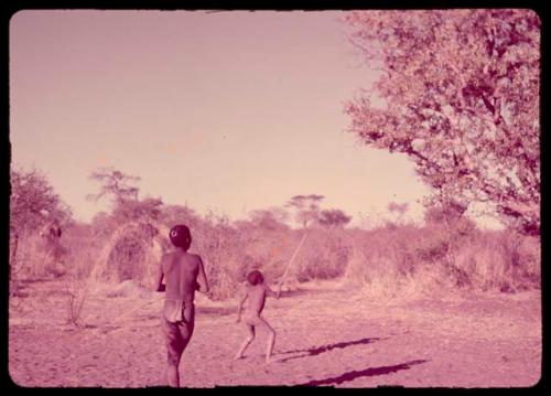 Boys throwing a djani (helicopter toy), a boy catching it with the tip of his stick