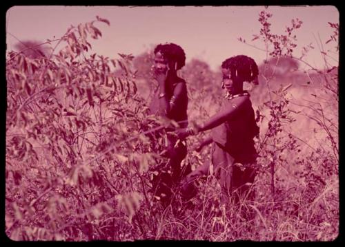 N!ai and an unidentified girl picking Grewia berries