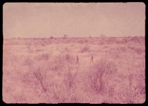 Two people walking through grass and brush