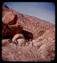 People standing next to boulders on Brandberg Mountain