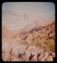 Tree, brush and grass on Brandberg Mountain (double exposure)