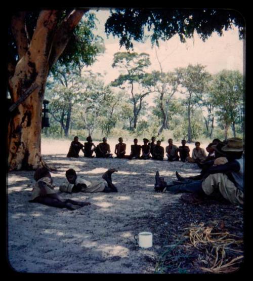 Group of people sitting under a tree