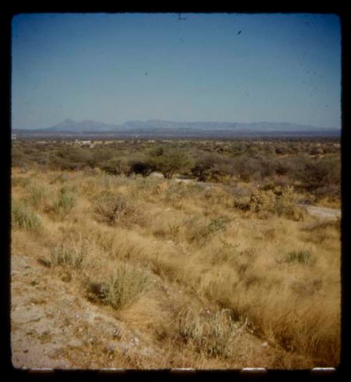 Track through brush and trees, with mountains in the distance