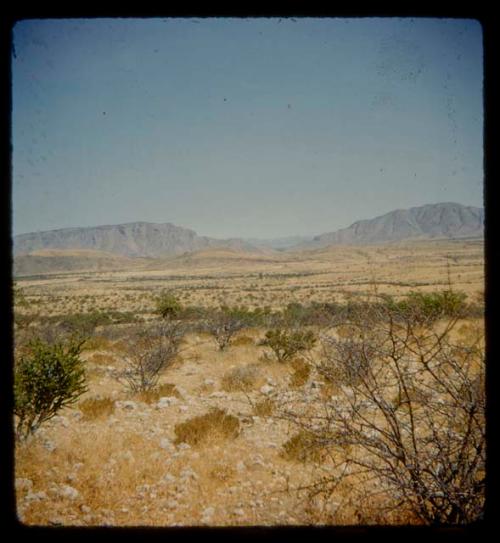 Landscape with brush, mountains in the distance