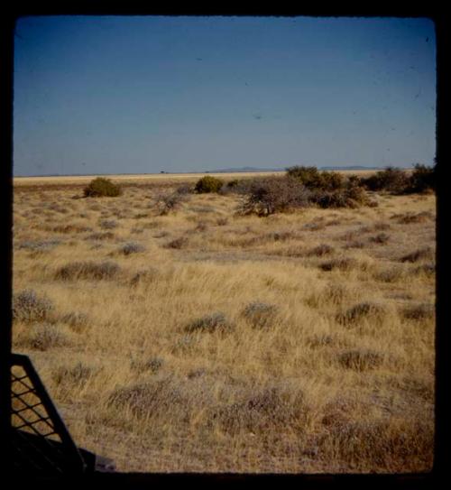 Landscape near grass and brush