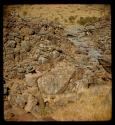 Laurence Marshall photographing a gulch