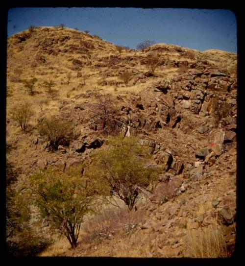 Laurence Marshall and another person making a rubber cast of a petroglyph, distant view