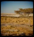 Etosha Pan, with animals in the distance