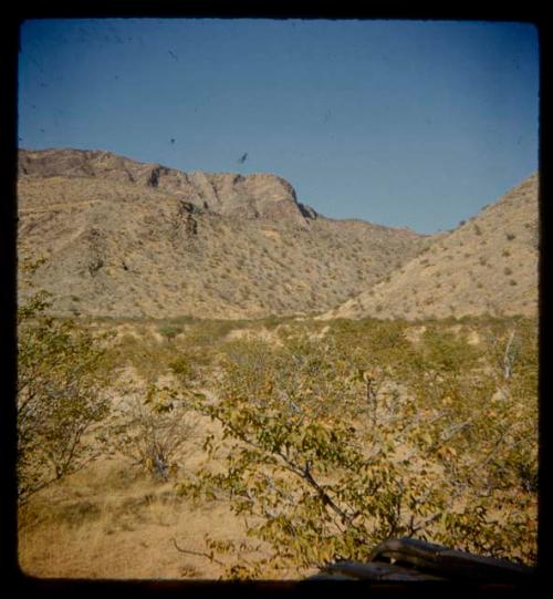 Landscape with brush, hills in the background