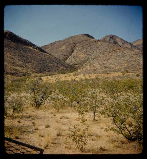 Landscape with brush, hills in the background