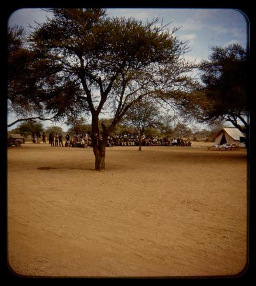 Large group of people sitting and standing, distant view