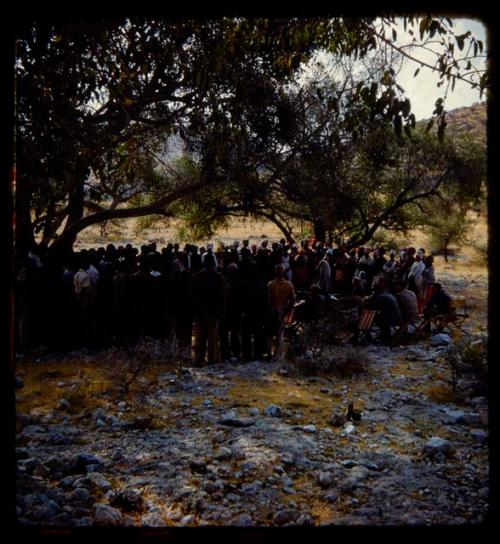 Franzfontein indaba, large group of people standing and sitting under trees