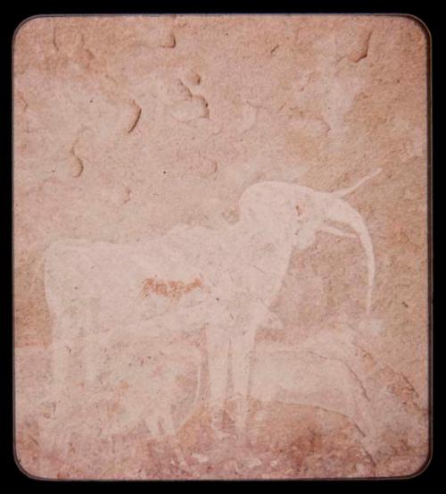 Rock painting of an elephant at a farm near Franzfontein, close-up