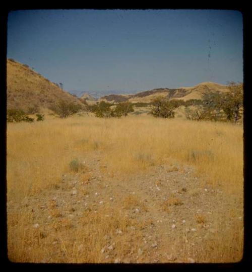 Landscape with grass, brush and hills