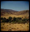 Trees and hills along the Skeleton Coast Rescue Route