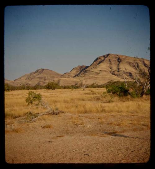 Landscape with grass, brush and hills