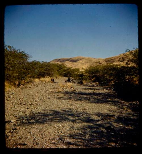 Landscape with gravel, brush and hills