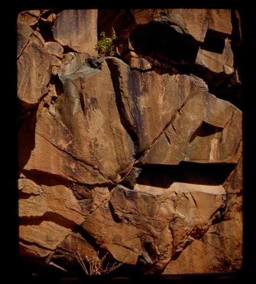 Petroglyphs of animals and a hand-like figure