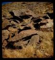 Weathered petroglyphs of an elephant and a rhino