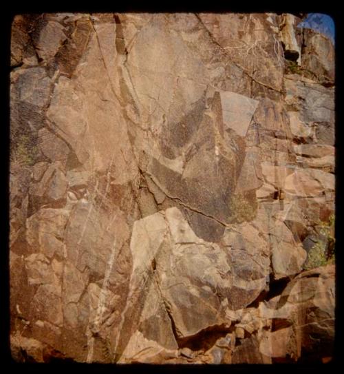 Petroglyphs of giraffes (double exposure)