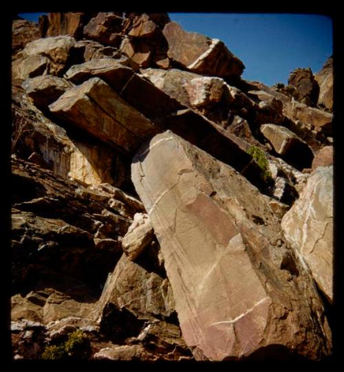 Fallen rock in gulch, close-up