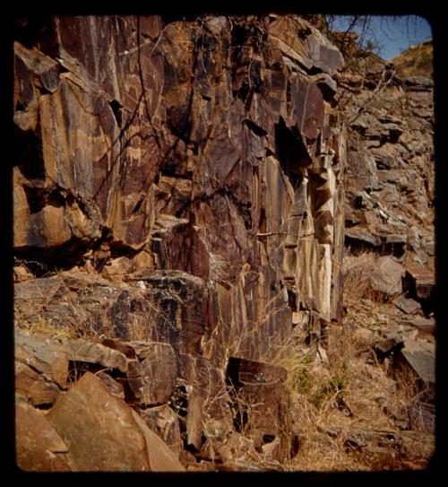 Petroglyphs of a rhino, elands and an animal skin, distant view