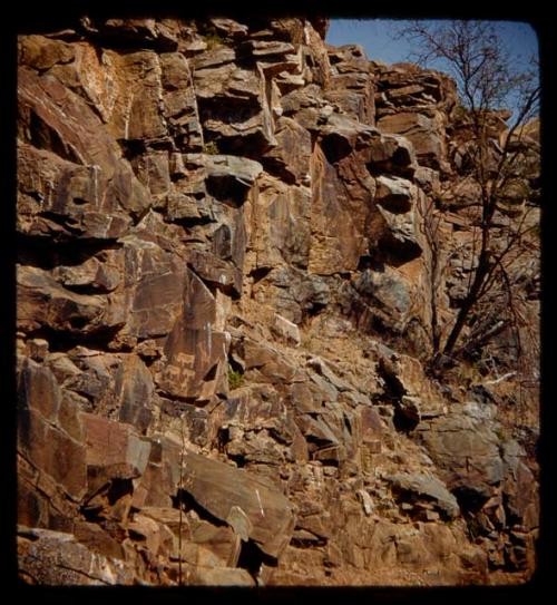 Petroglyphs of three rhinos and a giraffe, distant view