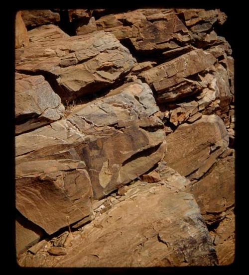 Petroglyphs of a rhino and an elephant