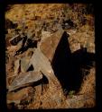 Fallen rock with petroglyphs