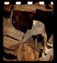 Petroglyphs of a rhino, a giraffe, and human feet, close-up