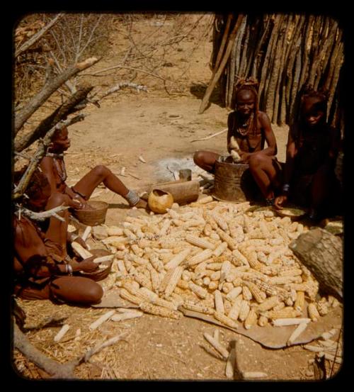 Women sitting, husking corn