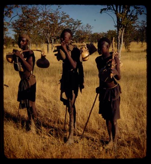 Three people carrying gourds on carrying sticks