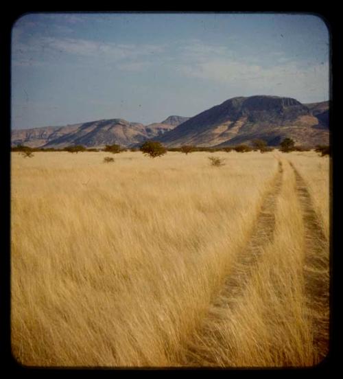 Truck tracks through grass, with mountains in the background